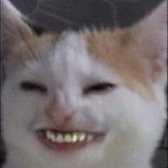 Meet your Posher, Benjamin - Picture 1 of 1